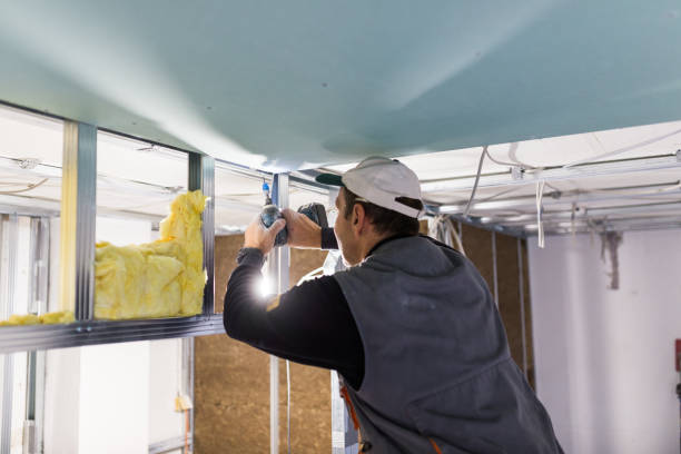 Best Commercial Insulation in St Lawrence, PA