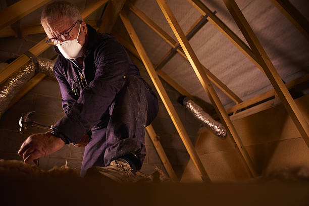 Best Fiberglass Insulation in St Lawrence, PA